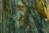Free-Standing, Gary Green Jasper (Larsonite) Bog Wood - Oregon #334728-3